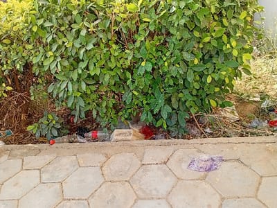 A dense green bush grows behind a low concrete retaining wall. Litter, including red plastic bottles and plastic bags, is scattered along the base of the bush. A paved walkway with large, hexagonal tiles stretches across the bottom of the frame. A crumpled piece of translucent purple plastic sits on the walkway.
