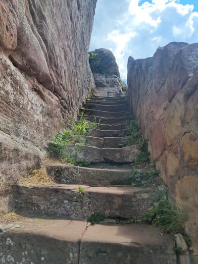This is a low-angle, outdoor, eye-level shot of ancient stone stairs carved into a rocky cliff face. The stone is weathered and uneven, with various shades of brown and gray. Vegetation, including grass and small plants, grows in the cracks and crevices of the stairs and surrounding rock. The stairs are narrow and appear to be quite old, possibly man-made, leading upwards into an overhang.
To the left of the stairs, the rocky surface of the cliff slopes upwards and away, showing distinct erosion patterns and a reddish-brown hue. Above and to the left, a bright blue sky with fluffy white clouds is visible, suggesting daytime. The lighting indicates it is likely daytime, possibly morning or afternoon, with sunlight casting some shadows on the stone.
The scene evokes a sense of history and a connection to nature. The stairs are an object of interest within the natural setting of the cliff. There are no people or text visible in the image. The location context is Dahn, Germany, which is known for its sandstone rock formations and hiking trails. This image captures a sense of exploration and the enduring nature of ancient structures against a backdrop of natural beauty.