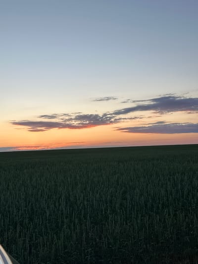 A wide, horizontal shot depicts a field of dark green crops under a twilight sky. The crops, appearing to be wheat or a similar grain, fill the lower two-thirds of the frame, appearing dense and textured. The horizon line is clearly defined, separating the field from the sky. The sky occupies the upper third of the image and displays a gradient of colors. The lowest part of the sky is a vibrant orange, transitioning into a soft pink and then a pale blue towards the top. Thin, elongated clouds are visible in the sky, colored by the sunset's light in shades of pink, orange, and gray. A small portion of a white vehicle is visible in the bottom left corner of the frame. The scene is characteristic of a rural landscape in the city of Zhaksy, Kazakhstan, during the evening hours.