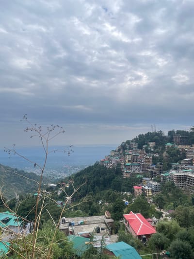 The image depicts a landscape in Dharamkot, India, a town nestled in the hills. The scene is divided between the sky on the left and a densely built hillside on the right.

**Sky:** The left side of the image is dominated by a cloudy, overcast sky.

**Landscape:** The right side showcases a steep hillside densely populated with buildings and interspersed with trees. Structures vary in size and color, with some displaying red or green rooftops. The hillside descends into a valley with hints of distant landscape obscured by haze.

**Foreground:** A dry, branched plant extends into the frame from the lower right corner, adding a sense of depth and perspective.

**Atmosphere:** The overall scene conveys a sense of altitude and a damp, possibly misty atmosphere, typical of mountain regions.

**Details:** Amidst the buildings, construction sites are visible, indicating ongoing development in the area. The presence of trees suggests a relatively natural environment despite the dense construction.