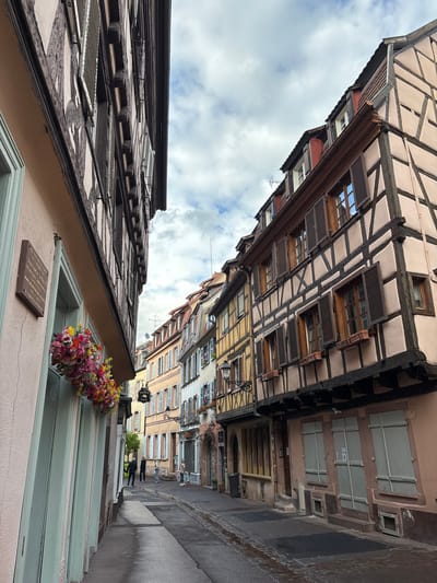 The image depicts a street scene in Colmar, France, characterized by traditional Alsatian architecture. The buildings on both sides of the narrow, paved street are timber-framed, with light-colored facades and dark wooden beams. The building on the left features a pinkish facade with teal-colored window shutters and a hanging basket overflowing with colorful flowers. A plaque is mounted on the wall to the left of the window. The building on the right showcases similar timber-framing, with multiple stories of windows fitted with dark brown shutters. Some of the windows have small planters beneath them. The street itself is wet, suggesting recent rain, and has cobblestone edging. In the distance, several people are walking along the street. The sky is overcast with clouds.