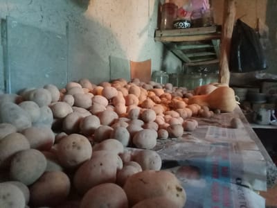 The image depicts a collection of potatoes and several squash or pumpkins piled on a table covered with newspapers. The scene appears to be indoors, possibly in a storage area or a kitchen, with a rough, textured wall in the background. Shelves with jars, a black plastic bag, and various containers are visible in the upper right portion of the image. The lighting is dim, casting shadows and contributing to a rustic atmosphere. The location is identified as Karagana, Uzbekistan.