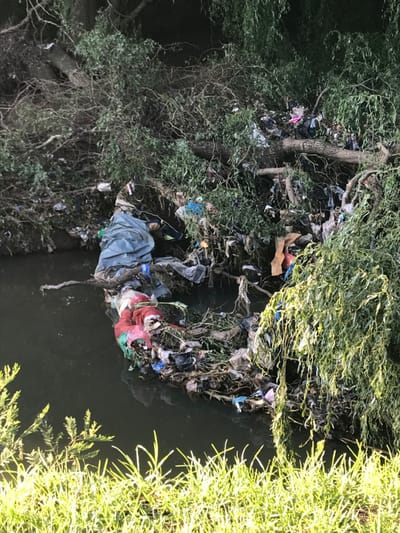 The image captures a severely polluted waterway in Germiston, South Africa. A vast accumulation of refuse is visible, densely packed among the green foliage and tree branches bordering the water. The trash comprises numerous plastic bags in various colors, including blue, red, black, and clear, alongside pieces of fabric, clothing (a prominent pale blue tarp-like material and a red fabric item), and general debris. This waste forms a substantial mass, appearing to be caught by the vegetation and partially submerged in the dark, murky water.
The scene depicts significant environmental degradation. Bright sunlight illuminates parts of the dense greenery, particularly on the right side, indicating it is daytime with clear weather. There are no people visible, nor any specific activities taking place, only the static result of extensive waste accumulation. No text is visible in the image. The overflow of rubbish into the natural environment underscores a severe pollution issue.