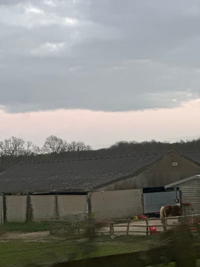 The image depicts a rural landscape in Wealden, United Kingdom. The scene includes a cloudy sky dominating the left side, transitioning to a field or open space with sparse, leafless trees. Adjacent to the field is a complex of buildings, possibly barns or agricultural structures, with fencing visible. There appears to be a light-colored animal, possibly a horse or cow, near the buildings. The foreground shows green grass or vegetation.