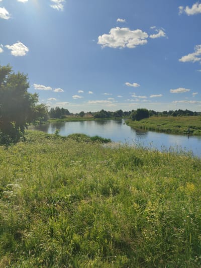 This is a vertical, eye-level, wide shot of a river landscape on a sunny day. The sky is a bright blue with scattered white clouds. A bright sun with visible rays is in the upper left corner. A large tree with green foliage is in the left foreground, partially obscuring the scene. The foreground is dominated by tall green grass and wildflowers. The river is in the middle ground, flowing from left to right and reflecting the sky. The far bank of the river is lined with trees and green fields. In the right middle ground, a person stands near the riverbank. The overall impression is a peaceful, natural scene. The location is the city of Ковригино, Russia.