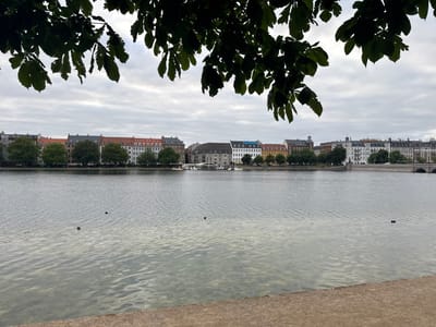 This is a photograph of a calm body of water with buildings lining the opposite shore. The water's surface is rippled, and the reflections of the sky and buildings are visible. Several small dark objects, appearing to be ducks, are present in the water. The shore in the foreground is a textured, reddish-brown surface. Above the water and buildings, dark green leaves from a tree hang down, partially obscuring the sky, which is overcast. The buildings on the far side of the water are a mix of architectural styles, with some featuring red tile roofs and others lighter-colored facades. A bridge or embankment with arches is visible on the far right of the frame. The overall scene suggests an urban park or waterfront area in Copenhagen, Denmark.