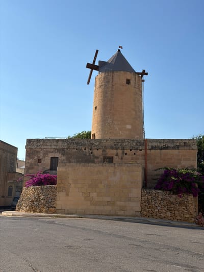 The image depicts the Xagħra Windmill, also known as Tal-Għejtu, located in Xagħra, Malta. The windmill is a tall, cylindrical stone structure with a conical roof topped by a small flag. Wooden vanes are attached to the top of the windmill. The windmill is situated atop a low, stone-walled structure, which has a weathered, light-brown stone facade. Vibrant pink bougainvillea plants spill over the stone walls on both sides of the windmill. In the foreground, a grey asphalt road curves away from the viewer, with a concrete curb separating it from the windmill's base. A section of a building with a pale facade and arched windows is visible to the left of the windmill. The sky above is a clear, bright blue. A silver van is parked to the left of the windmill. To the far right, a person is seated on the ground.