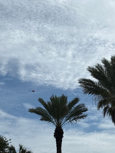 A red helicopter flies across a blue sky dotted with white clouds. In the foreground, palm trees frame the sky, obscuring parts of the scene from view. The helicopter is visible in the upper left quadrant of the image, appearing small against the vastness of the sky. This image was captured in Panama City Beach, United States of America.