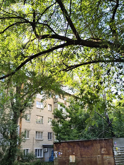 This is an eye-level, medium shot photograph of the side of a light-colored brick apartment building, partially obscured by lush green tree foliage. The building appears to be several stories tall, with numerous windows, some featuring white frames and bars. There are balconies on some of the upper floors. In the foreground, a large, rusty metal container or structure with some faded posters on it is visible, along with a portion of a corrugated metal fence. Trees and other vegetation are abundant around the building and in the foreground. The sky is visible through the tree branches, suggesting an outdoor setting in an urban environment, possibly in Donetsk, Ukraine, given the architectural style and the presence of Cyrillic script on the posters. The scene is well-lit by natural daylight.