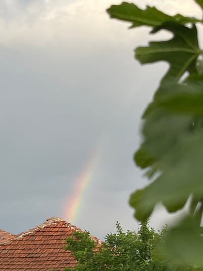 The image displays an outdoor scene in Kostinbrod, Bulgaria, featuring a rainbow arching across an overcast sky above a building and vegetation. The upper two-thirds of the frame show a cloudy sky, predominantly grey with patches of lighter tone. A distinct, multi-colored rainbow is visible in the mid-left portion of the sky, its arc extending upwards from near the roofline of a building. In the lower-left quadrant, the red-tiled roof of a building, possibly residential, is visible, characterized by terracotta-style tiles and white mortar along the ridges, topped by a small, dark rectangular structure. Below the roof, a cluster of green trees or bushes is present. The right side of the image is significantly occupied by large, blurred green foliage, indicative of close-up leaves from a plant, obscuring the view. No people or specific actions are discernible.