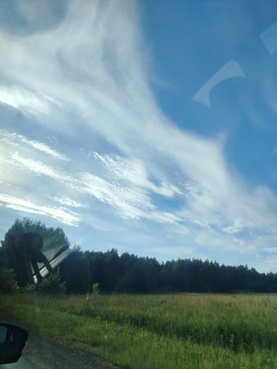 This is a photograph taken from inside a vehicle, looking out at a rural landscape. The sky is a clear blue with wispy, white clouds stretched across it. A dark silhouette, likely a person or part of the vehicle's interior, is visible in the upper left corner, obscuring a portion of the sky and the distant treeline.
The middle ground of the image features a dense line of dark green trees, forming a solid barrier against the horizon. In front of the trees, a field of tall, green grass stretches forward, with some patches appearing dry and golden. The foreground shows a dirt road or track on the left, with the side mirror of the vehicle also visible.
The lighting suggests it is daytime, possibly late afternoon, given the bright sky and the shadows cast by the vehicle's interior. The weather appears clear and sunny. The scene evokes a sense of a quiet drive through the countryside. There is no visible text in the image. The location is identified as Tap'iushka, Russia.
