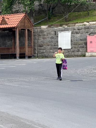 A young person with short, dark, curly hair is walking across a paved area in Dilijan, Armenia. They are wearing a neon green t-shirt with "NYC" and other text, black pants with white stripes, and dark shoes. The person is carrying a purple shopping bag with pink hearts and the word "BERRIES" printed on it in their right hand. They are looking towards the camera and appear to be holding something small in their left hand.

Behind the person, a stone wall forms the base of a grassy embankment. To the left of the stone wall is a wooden gazebo with a tiled roof. Further to the right, a pink metal structure with two dark vertical rectangles is visible against the stone wall. The ground is paved with asphalt and there are white road markings. The sky is overcast, and trees are visible on the embankment above the stone wall.