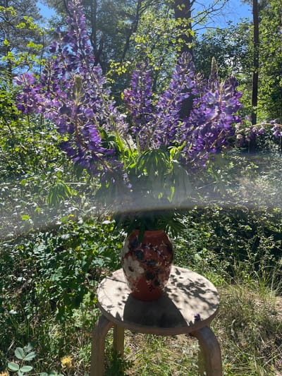 A vase of purple lupine flowers sits on a wooden stool in a sunlit outdoor setting. The vase is reddish-brown with painted white flowers and green leaves. The stool has a round, light-colored wooden top and curved wooden legs. Behind the stool, lush green foliage and trees are visible, indicating a natural environment. The scene is bathed in sunlight, casting shadows on the stool and the surrounding grass. This image was captured in the city of Zelenaya Roshcha, Russia. There are no people present in the image.