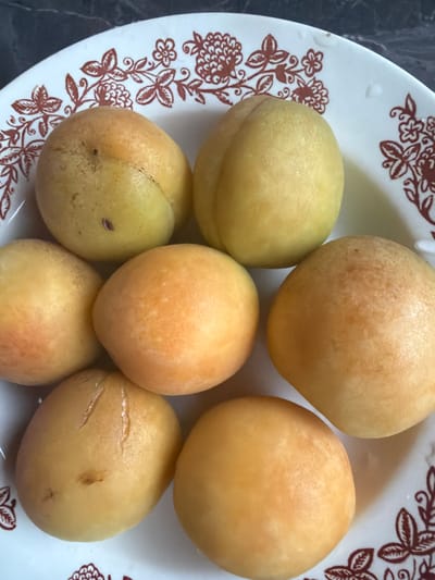 Seven apricots are arranged on a white plate with a red floral pattern. The plate rests on a dark, speckled surface, likely a countertop. The apricots vary in color from pale yellow to a warmer orange, with some showing slight blemishes or indentations. The lighting suggests an indoor setting. This scene is not identifiable as being in Borjomi, Georgia.
