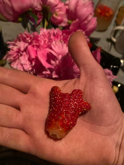 A person's open palm holds a deformed strawberry with multiple lobes. In the background, out of focus, are pink peonies and what appear to be glass containers with red and yellow contents. The scene is dimly lit.