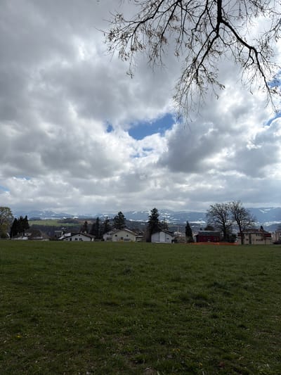 The image presents an outdoor landscape view, likely captured from an elevated position within or near Fribourg - Freiburg, Switzerland. The lower half of the frame is dominated by an expanse of unmaintained green grass, exhibiting varying lengths and occasional yellow vegetative elements. Across the midground, a residential area is visible, featuring a cluster of detached and semi-detached houses of varying architectural styles and colors, including a prominent red-painted building with dark window frames situated behind an orange safety barrier or fence. These structures are interspersed with numerous trees, some appearing as bare deciduous specimens and others as dark green conifers. Beyond the residential zone, rolling hills lead to a distant mountain range, partially covered in snow, extending across the horizon. The upper half of the frame features a dynamic sky filled with large, textured grey and white cumulus clouds, punctuated by several clear patches of blue sky. From the top right quadrant, a bare tree branch, characterized by fine twigs and a few small, dried seed pods or leaves, extends diagonally into the frame, silhouetted against the bright sky. No human figures or discernible activities are present within the scene.