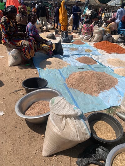 The image depicts an outdoor market scene in Boi A, Nigeria, likely during daytime given the strong shadows. A variety of grains and pulses are displayed on a large blue tarp, spread out on the dusty ground. The grains are sorted into different piles, some appearing as small seeds like millet or sorghum, while others are larger beans or lentils.

Several people are present in the scene, though their faces are not clearly visible due to the angle and focus. They are dressed in casual clothing, with some women wearing colorful patterned fabrics and headscarves. Some individuals appear to be vendors, arranging the goods, while others might be shoppers. A significant portion of the image is dedicated to the bulk grains themselves, with large sacks and metal bowls holding substantial amounts of produce.

In the foreground, a large woven sack is partially visible, and a metal bowl filled with a reddish-brown grain sits next to a black plastic tub containing lighter-colored grains. To the right, another large metal basin holds a similar reddish-brown grain. Shadows cast by people and objects suggest a sunny, possibly hot, day. The ground is uneven and appears to be dry earth, typical of an outdoor market setting. The overall impression is one of vibrant commerce and daily life in a Nigerian community, with a focus on agricultural products. There is no visible text in the image.