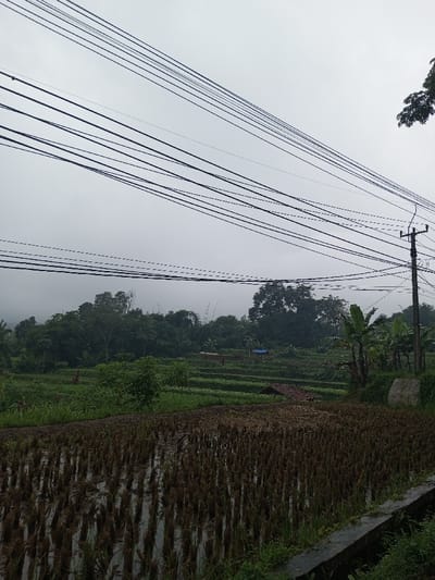 This image presents an overcast, rural landscape within the city of YonPhoogla, Bhutan. The upper half of the frame is dominated by a uniform light grey sky, traversed by multiple parallel dark utility lines. A dark utility pole with crossarms is positioned on the right edge, supporting some of these lines. The mid-ground reveals a series of green, verdant terraced agricultural fields. The immediate foreground features a flooded paddy field with densely packed, short, dark brown crop stubble reflecting the sky. Within the green terraces, scattered smaller green trees and shrubs are visible, along with several upright reddish figures, possibly scarecrows. Further back, a dense line of dark green trees forms the horizon, partially obscured by mist or fog on the far left. Small structures are present in the middle ground, including one with a blue tarp roof and another with a reddish-brown tiled roof. A concrete retaining wall or edge with overgrowth is visible along the bottom right of the frame. There are no individuals present in the scene.