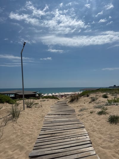 A wooden boardwalk leads through sand dunes towards a crowded beach in Primorsko, Bulgaria. The sky is a clear blue with scattered white clouds. A tall, thin lamppost stands on the left side of the boardwalk. In the distance, several white umbrellas are set up on the sandy beach, with people visible underneath them. A low, wooden structure, possibly a beach bar or cafe, is situated behind the dunes on the left. The Black Sea stretches out beyond the beach, meeting the horizon under the expansive sky. The sand is rippled, indicating the presence of wind.