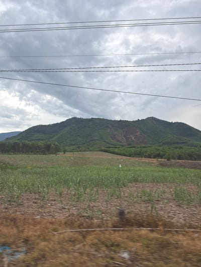 The image captures a rural landscape under a cloudy sky. In the foreground, a field of green crops, possibly corn or sugarcane, is visible. Behind this, a strip of dry, brown vegetation and soil can be seen, with some scattered debris. Further back, a dense forest of green trees lines the base of a large, undulating mountain. The mountain itself is covered in lush green vegetation, with a section of exposed reddish-brown earth on its slopes, suggesting a cleared or logged area. Several power lines stretch across the upper portion of the image against the overcast sky. The scene appears to be located in the vicinity of Khanh Vinh, Khanh Hoa Province, Vietnam, a region known for its mountainous terrain and agricultural areas. No people or animals are depicted in the image.