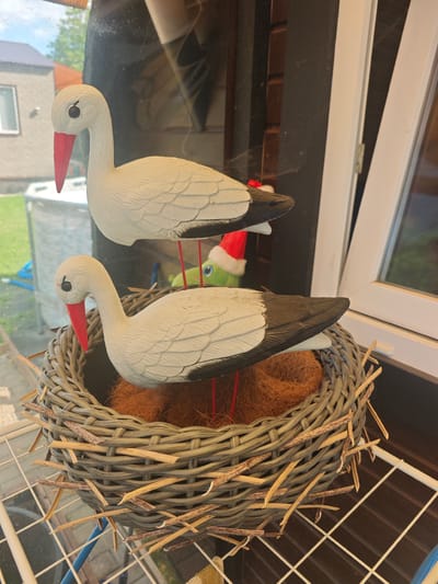 This media file showcases a decorative display of two white storks, crafted from a hard material, positioned within a woven grey basket filled with coir fiber. The storks, with their distinctive red beaks and black wingtips, are depicted with intricately carved feather patterns. One stork rests within the basket, while the other stands above it, supported by thin red rods. Behind the storks, a stuffed frog wearing a red and white Santa hat is partially visible.
The scene appears to be set near a window, as suggested by the reflection of an outdoor environment, including a building, green grass, and trees, visible on the glass. The time of day appears to be daytime, with natural light illuminating the scene. The overall impression is that of a whimsical, perhaps seasonal, decoration. No visible text is present in the image. The location context provided is Хлевино, Russia.