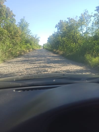 A perspective shot from inside a vehicle shows a dirt road stretching into the distance, lined with lush green trees on either side. The road is bumpy and appears dry, with shadows cast across it by the trees. The sky above is a clear, bright blue. The foreground is dominated by the dark, matte surface of the vehicle's dashboard. The scene is consistent with a rural or semi-rural area. This specific scene is located in Lativka, Ukraine.