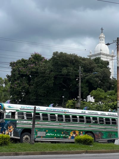 The image shows a vibrantly painted bus, likely a "chicken bus" commonly used for public transportation in El Salvador, parked on the side of a road in Antiguo Cuscatlán. The bus is adorned with various cartoon characters and the words "MARTHA ESMERALDA" and "EN HONOR DEL PERLA" on its side. A tall, slender palm tree stands in front of the bus, partially obscuring its view. In the background, a large tree with purple flowers is prominent, and further behind it, the white dome of a building, possibly a church, is visible against a cloudy sky. Power lines crisscross the scene. The bus appears to be parked on a paved surface with a grassy median separating it from another road. The overall impression is a colorful and busy street scene in a Latin American city.