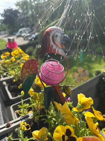The image depicts a close-up of a metal parrot garden ornament situated amongst yellow flowers. The parrot is red and silver, with a pink orb suspended in its body. Behind the parrot, a blurry background shows green foliage and a hint of a street with a white van. The scene appears to be outdoors, likely in a garden or balcony setting. The photo was taken in Steenwijk, Netherlands.