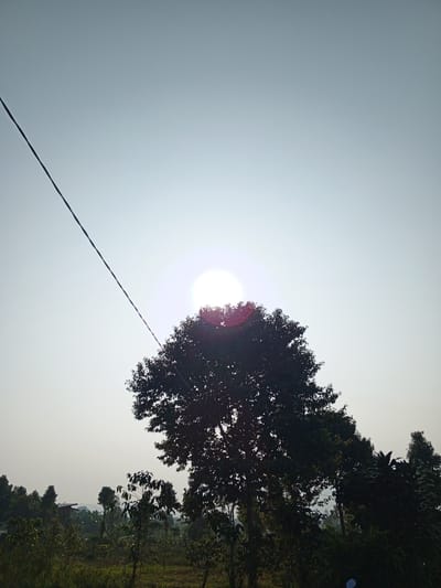 The image depicts a bright, hazy sky over a rural landscape, likely in Bellanneoya, Sri Lanka. A thin, dark wire stretches diagonally across the upper left portion of the frame, silhouetted against the light. In the center of the image, a large, dark tree dominates the foreground, its silhouette partially obscuring the sun. The sun itself is a bright, white orb with a lens flare radiating outwards, located just behind the upper branches of the tree. Below the tree, the landscape transitions into a dense collection of trees and vegetation, with hints of structures and hills in the distance. The overall impression is of a sunny day in a natural setting, with the presence of a utility wire suggesting some level of human infrastructure. There are no people or animals visible in the image.