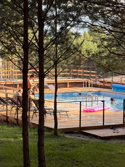 This media file depicts an outdoor scene featuring a swimming pool and surrounding wooden deck, framed by pine trees. A person with dark hair is visible in the pool, appearing to be swimming or floating. A pink inflatable mattress is also in the pool. On the deck, a person with light-colored hair is seated on a chair, looking at their phone, while another person, shirtless and with dark hair, is also seated nearby. Two pairs of black flip-flops are on the deck. The scene suggests a sunny day, with lush green grass bordering the deck. The presence of trees and the style of the wooden deck and fencing suggest a natural, possibly secluded, setting. The overall mood appears relaxed and leisurely. The time of day appears to be afternoon or early evening, given the angle of the sunlight. No visible text is present in the image.