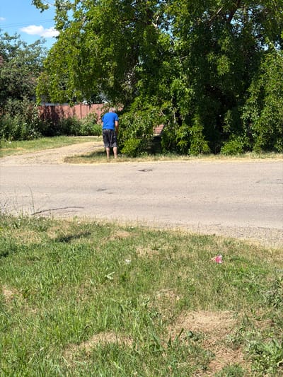 An individual wearing a blue t-shirt and dark shorts stands on a dirt path adjacent to an asphalt road, partially obscured by the dense green foliage of a large tree. The person appears to be reaching into the tree's branches. Behind the individual and the tree, a brown wooden fence is visible, separating the area from a residential or industrial zone. The ground is covered in grass and dry vegetation. In the foreground, the asphalt road shows signs of wear and tear, with some cracks and uneven surfaces. The sky is blue with scattered white clouds. The scene is illuminated by bright sunlight, casting shadows. This image depicts an outdoor environment in the city of Timashevsk, Russia, on a clear day.