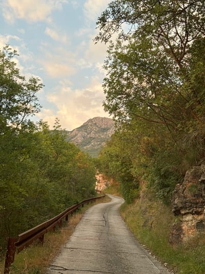 A narrow, paved road winds uphill through a lush, green forest in the vicinity of Pržno, Montenegro. The road is bordered by a weathered, rusty guardrail on the left and a rocky, overgrown embankment on the right. Dense foliage from trees and undergrowth lines both sides of the road, creating a natural tunnel effect. In the distance, a majestic, rocky mountain peak is visible against a sky filled with soft, pastel-colored clouds, suggesting either sunrise or sunset. The overall atmosphere is serene and natural, with no people or man-made structures other than the road and guardrail.