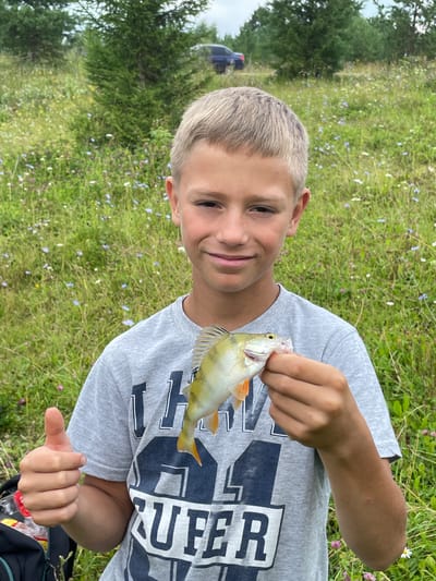 This is a vertical medium shot of a young boy proudly displaying a small fish he has caught. He is wearing a grey t-shirt with a dark blue graphic design on it, which appears to say "SUPER" with other unreadable letters. The boy has short, light-colored hair and is smiling at the camera. He is holding the fish in his right hand, showing it off. The fish is yellow and green with orange fins and appears to be a perch.
The background is a natural outdoor scene. It is a grassy field dotted with small wildflowers, some of which are blue and pink, and some white. In the distance, there are trees and a glimpse of what appears to be a dark-colored vehicle. The lighting suggests it is daytime, and the overall impression is one of a pleasant, possibly summer day. The setting suggests a rural or natural environment, likely near a body of water where fishing would take place, given the presence of the fish. The boy's expression and posture convey happiness and pride in his catch. The image appears to be taken in Kumyon, Russia, based on the provided location context.