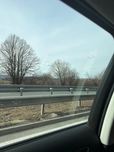 The image depicts a roadside view from within a vehicle, observed through a window. The scene is described as being located in Kipra, Bulgaria. The dark frame of the vehicle's interior is visible on the right and bottom edges of the image. Outside the vehicle, a multi-lane asphalt road with white lane markings is present. A gray, double-layered metal guardrail, supported by vertical posts, runs parallel to the road. Beyond the guardrail, a strip of dry, light brown earth with sparse, dormant vegetation extends towards the background. A line of numerous leafless deciduous trees occupies the mid-ground, with two particularly large, bare trees prominent on the left side of the frame. The horizon reveals gently rolling terrain, possibly hills or fields, under a pale blue sky featuring scattered, faint white clouds. No individuals, animals, or other active subjects are visible. The environmental conditions suggest late winter or early spring.