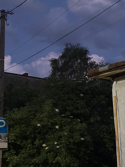 The image captures a dusky sky with scattered clouds, suggesting either early morning or late evening. Power lines crisscross the frame, indicating an urban or suburban setting. A tall tree with dense foliage, some of which appears to be flowering with small white blossoms, dominates the right side of the image. To the left, a section of a building with a tiled roof and a white tarpaulin cover is visible, suggesting some sort of construction or repair. In the foreground, a wooden pole, likely part of a utility structure, is present, with parts of what appear to be road signs visible at the bottom. The overall mood is somewhat muted, reflecting the low light conditions. No people are visible. The location is identified as Stryi, Ukraine.