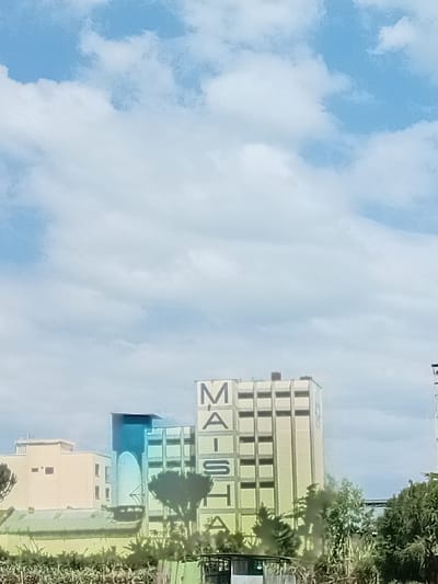 The image depicts an outdoor scene in Kiganjo, Kenya, dominated by architectural structures under a partly cloudy sky. The most prominent feature is a multi-story, light-colored building, likely industrial, with the word "MAISHA" painted vertically in large, dark letters on its facade, which also exhibits a repeating grid pattern of darkened recesses. To the immediate left of this building, a tall, cylindrical structure, identified as a water tower or silo, features a distinct blue upper section. Further left, a smaller, rectangular, light-colored building with multiple small, square windows is visible. The foreground is characterized by dense green vegetation, including rows of crops and various trees, which partially obscure the lower sections of the buildings. A small, dark, rectangular structure is discernible within this vegetation in the lower-center. The upper two-thirds of the frame consists of a bright blue sky containing numerous scattered white cumulus clouds. No individuals, specific actions, or interactions are visible within the captured scene.