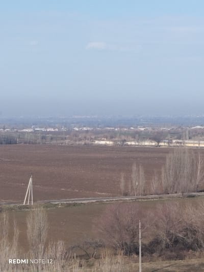 A landscape features a vast, brown field stretching to a distant horizon. Bare trees line a middle-ground area between two fields. A grey road cuts across the scene, running parallel to the trees. Utility poles stand intermittently, punctuating the landscape. In the distance, indistinct buildings suggest a town or city. The sky is pale blue, lightly hazed, with a small cloud present in the middle. The image is taken from an elevated vantage point, possibly a hill.