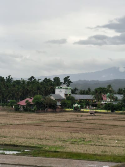 The image captures a serene rural landscape in Mukee Gogo, Indonesia, under an overcast sky. In the foreground, extensive rice paddies stretch across the frame, predominantly dry and light brown, indicating either a post-harvest period or land prepared for planting. Patches of green vegetation and small pools of water are visible in some sections of the fields. A small, humble thatched hut stands isolated within the paddies.
In the midground, a collection of buildings is nestled amongst dense tropical foliage, dominated by tall palm trees. These include houses with red and grey roofs. A prominent multi-story white building with green trim and a green dome-like structure on its roof appears to be an Islamic school or foundation. Text on this building, though partially obscured, includes "YAYASAN" (Foundation) and keywords like "ISLAMIC" and "MADRASAH," suggesting it is an Islamic educational institution. A decorative green archway with a small dome is also visible near the buildings, reinforcing the Islamic architectural theme.
A range of mountains, softened by haze or clouds, forms the backdrop, blending into the grey, cloudy sky. The overall atmosphere is quiet and tranquil, characteristic of a rural agricultural community. No human activity is visible in the scene, and the weather appears overcast, typical of tropical regions.