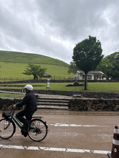This image depicts a park-like scene in Nara, Japan, under an overcast and rainy sky. In the foreground, a person is cycling from left to right on a wet, light-brown paved road. The individual is an adult male, wearing a white hard hat or helmet, a black rain jacket, and dark pants. He is seated on a dark teal-green commuter bicycle equipped with a front basket and a rear rack. Water droplets are visible on the road surface, indicating recent or ongoing rain. A brown and white striped traffic cone is partially visible at the bottom right.
The midground features a terraced landscape with multiple layers of dry-stacked stone walls and stone steps. Beyond these walls, well-maintained green grass covers rolling terrain. A black metal fence runs along the top of one of the stone walls, separating the road from the park area. Several deciduous trees with dense green foliage are scattered throughout the grassy areas.
In the center-right midground, a small, single-story building with white walls and a dark tiled roof is visible, partially obscured by a tree in the foreground. This building appears to be a small facility, possibly an information center or restroom, with openings on its facade. Further to the left, another open-sided pavilion-style structure with a dark roof is situated on the grass. An informational sign with graphic illustrations stands on the grassy area near the stone steps.
The background is dominated by a large, smooth, bright green hill covered in short grass. Faint, white speckles visible against the green hillside and darker elements throughout the image suggest light rainfall or mist. Small, indistinct shapes, possibly deer, are discernible on the distant green slope. The sky is uniformly light gray with heavy cloud cover, confirming the overcast weather. The overall environment suggests a well-maintained public park or natural preserve.