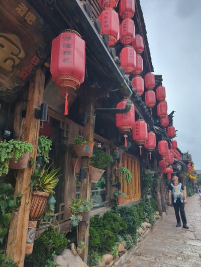 In Gucheng District, China, a street scene unfolds with traditional architecture and festive decorations. The buildings are adorned with numerous red lanterns, some featuring Chinese characters. Lush green plants cascade from terracotta pots on wooden beams and along the stone pathway. A person, likely a parent, is visible in the lower right, wearing a baby carrier with a child. They are looking upwards, possibly at the lanterns. The atmosphere suggests a culturally rich and visually appealing urban environment.