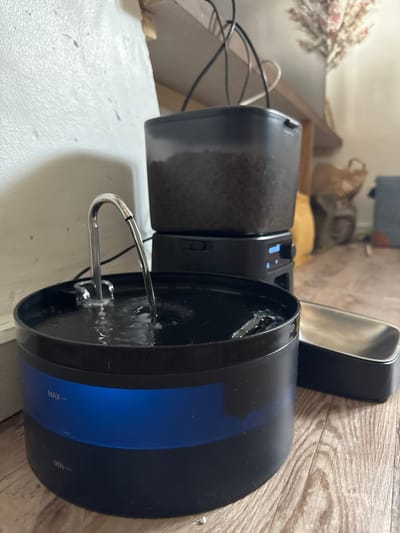 The scene depicts an indoor environment in Wattrelos, France, specifically a section of a room containing pet care equipment arranged on a light-toned wooden floor. In the foreground, a black cylindrical pet water fountain is active, with water flowing from a silver-colored spout into its reservoir. A translucent blue section on the fountain indicates the water level, which is above the "MIN" marking. To the right and slightly behind the fountain, a black automatic pet food dispenser is positioned. It features a translucent dark container filled with brown kibble, mounted on a base unit displaying illuminated blue indicators. A black power cord extends from the top of this dispenser. Adjacent to the water fountain on the right, a black base containing an empty, silver-colored pet bowl is present. The immediate background shows a textured, off-white wall on the left, and a blurred view of a wooden shelf, brown paper bags, and a vase with dried floral arrangements on the right. No individuals or animals are present in the image.