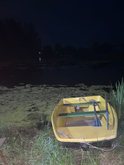 The image depicts a yellow rowboat docked on the grassy bank of a dark, murky body of water at night. The water is partially covered with green algae. The boat contains two wooden seats and two oars with blue handles. In the background, a dark treeline is visible against the night sky, with a few faint lights reflecting on the water. The environment appears to be a natural setting, likely a lake or river, in or near the city of Vasilyevo, Russia. There are no people or animals visible in the image.