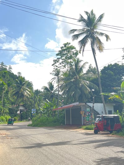 The image shows a street scene in Angulugaha Junction, Sri Lanka. The road runs vertically with a red tuk-tuk parked on the right side near a small shop. Various palm trees and lush vegetation surround the road. Power lines are visible against a partly cloudy sky. Further down the road, another tuk-tuk, this one green, is seen. The overall environment appears tropical.