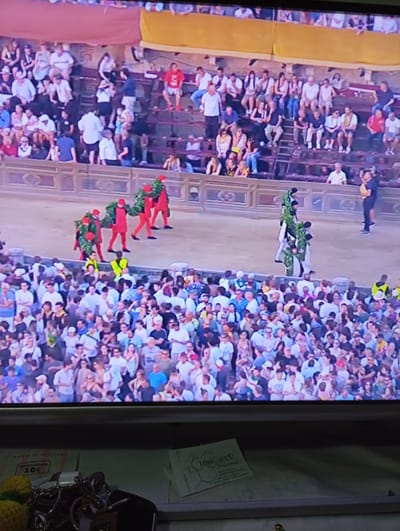 The image shows a crowded outdoor event, likely a historical reenactment or festival, taking place in a stadium-like setting. Spectators are seated in tiered bleachers, filling the upper portion of the frame. In the central arena area, several individuals are dressed in red costumes and carrying large green wreath-like objects. Others in the arena are dressed in white with green foliage incorporated into their attire, suggesting they are part of a procession or performance. A single person in a dark uniform stands to the right of the arena. The atmosphere appears to be festive, with a large number of people gathered. The image is taken from a slightly elevated perspective, looking down into the arena. The overall scene suggests an event of cultural significance, potentially the Palio di Siena, given the historical costumes and the presence of a large crowd in a public space in Siena, Italy.