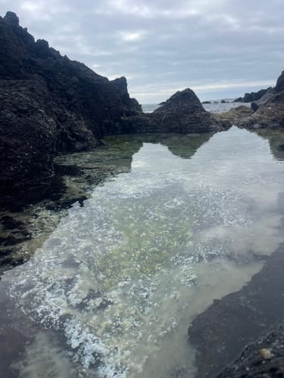 The image depicts a tide pool among dark, jagged rocks in Lagoa (Nossa Senhora do Rosário), Portugal. The pool reflects the cloudy sky above. The water appears clear, revealing some algae or plant life underneath. The rocks are dark and rough, suggesting volcanic origin. There are no people or signs of human activity visible other than the pool itself.
