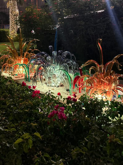 The image shows an art installation located in Doha, Qatar. The installation consists of several large, flower-like sculptures made of colorful glass. The flowers are arranged in a line, and are illuminated from within. To the right of the flowers is a large, dense shrub with pink flowers. In the background on the left are trees and a building with numerous small white lights. The time of day appears to be evening.