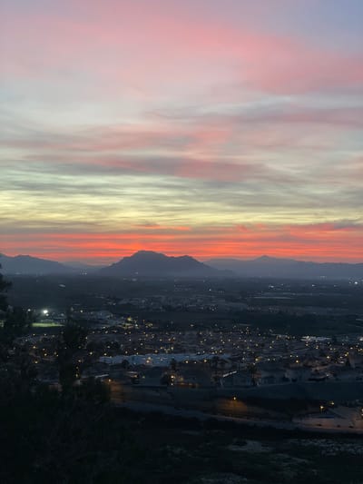 The image presents a view of Rojales, Spain, at twilight. The sky transitions from pink and white clouds on the left to yellow and orange hues nearing the horizon. A mountain range appears dark against the brightly colored sky. The city below is in shadow, with lights from buildings and street lamps dotting the landscape. At the bottom, dark foliage is visible in the foreground.