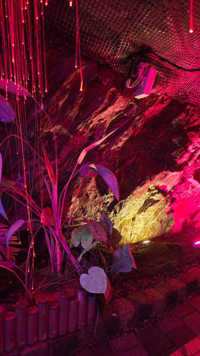 The image depicts an indoor scene with an artificial cave-like environment, illuminated by a combination of vibrant pink and yellow lighting. The setting appears to be a man-made attraction, possibly a theme park or exhibition, given the theatrical lighting and decorative elements.
The subjects are primarily inanimate objects arranged to create a dramatic atmosphere. We see rugged, textured rock walls, some covered in netting. A white electrical box is mounted on the netting in the upper left quadrant. Several artificial plants with large, broad leaves in shades of green and purple are strategically placed throughout the scene. Thin, glowing red fiber optic strands are prominent, fanning out from the lower left and appearing to emanate from within the foliage. A series of dark, cylindrical wooden elements form a curved structure on the right side of the image, resembling a rustic pathway or railing.
The activity taking place is not an action but rather the presentation of a static, visually engaging display. There is no indication of weather or time of day, as the environment is clearly artificial. The location cues suggest an entertainment or educational venue. The lighting evokes a sense of wonder, mystery, or even a touch of the surreal, but no specific emotions are directly conveyed by any living subjects. No visible text is present in the image.