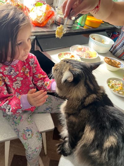 In Zlatoust, Russia, a young girl in a pink pajama top with teddy bear prints and gray unicorn-patterned pants sits at a table, looking at a brown and black tabby cat. A person's hand, holding a fork with food, is extended towards the cat. On the table are several bowls containing food, including what appears to be salad and some kind of pastry. In the background, plastic-wrapped bread and other kitchen items are visible. The lighting suggests it is daytime, with sunlight streaming from the left.