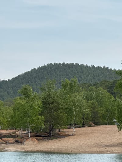 The image depicts a natural landscape scene with a body of water in the foreground. The water is calm and has a slight rippled texture. Behind the water, a sandy beach stretches across the middle ground, with several large, smooth rocks scattered on its surface, particularly towards the left side of the frame.

A line of trees forms a backdrop to the beach. These trees vary in size and type, with some appearing to be birch trees characterized by their white bark and light green foliage, while others are denser, darker green conifers. Behind these trees, a large, densely forested hill or mountain dominates the background. The hill is covered in a thick canopy of dark green trees, giving it a textured appearance. The sky above is overcast with a pale, light blue haze, suggesting a cloudy or foggy day.

The scene is a natural, undeveloped area, likely a park or a remote natural setting. The specific location within the city of Aiyrtau, Kazakhstan, is not evident from the visual information in the image. There are no people or man-made structures visible, contributing to a sense of natural tranquility. The overall impression is one of a peaceful, wooded lakeside or riverside environment.